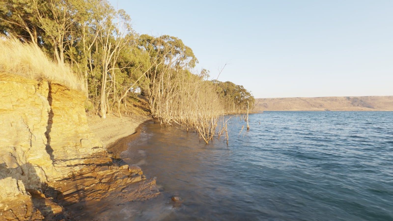 A lake shore with trees and cliffs at sunrise