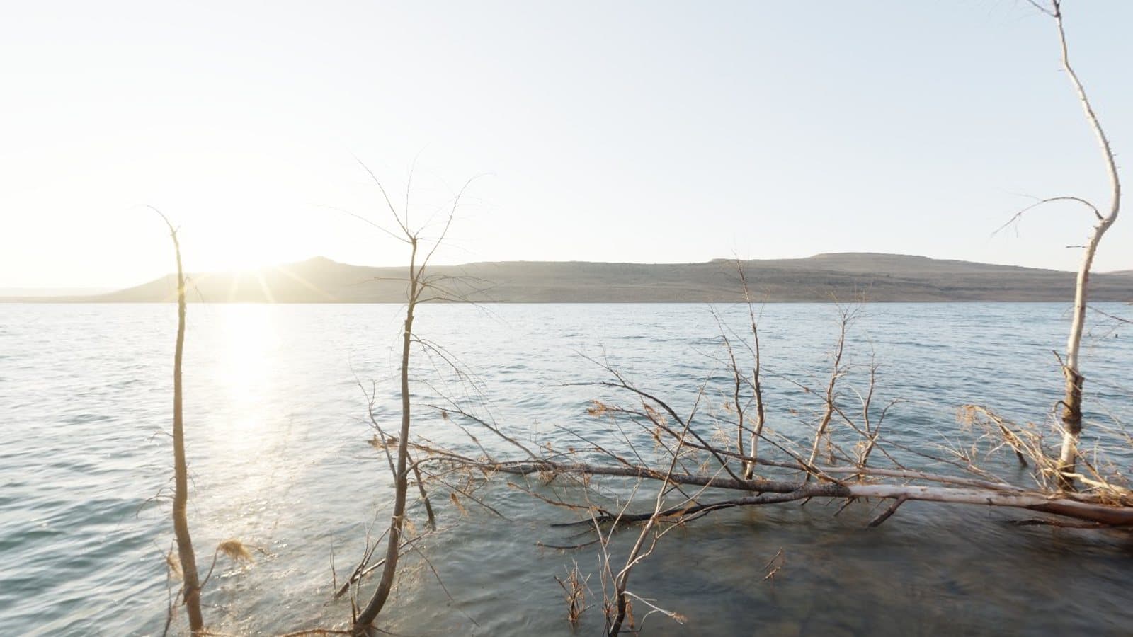 A calm lake with dead trees and a low sun, a scene with fine detail for stitching